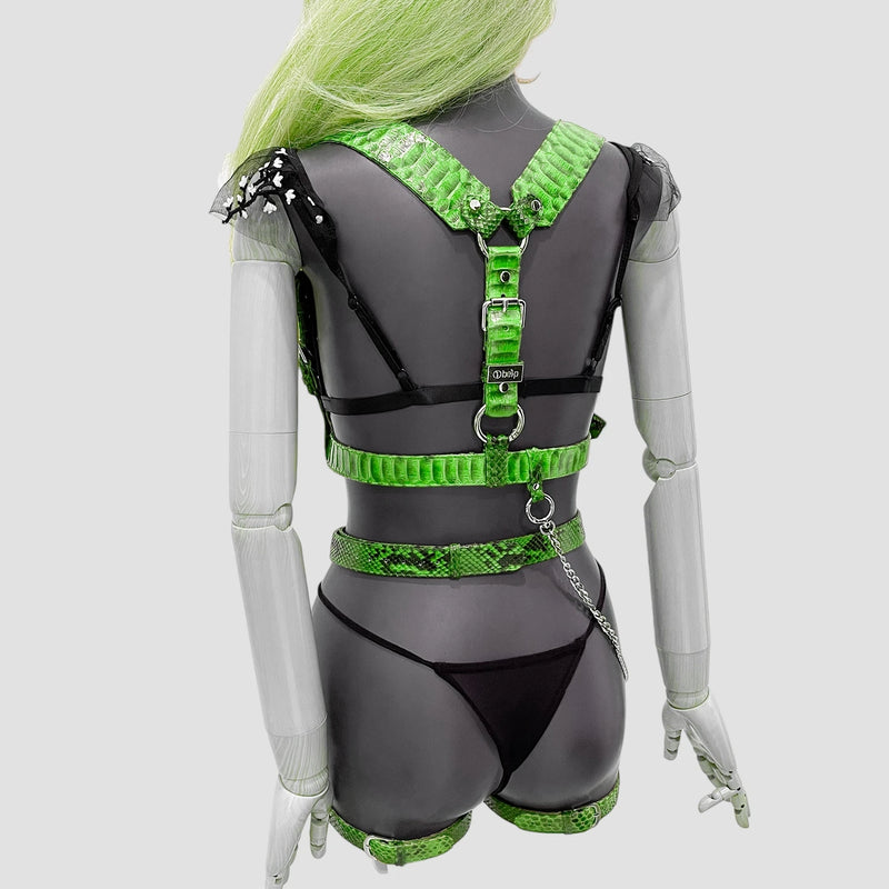 Python leather body harness set